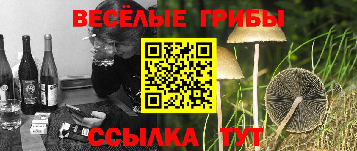 где можно купить   Галлюциногенные грибы MAGIC MUSHROOMS  Вход с VPN  Красноярск 